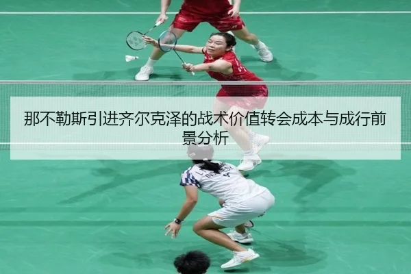 na-bu-le-si-yin-jin-qi-er-ke-ze-de-zhan-shu-jia-zhi-zhuan-hui-cheng-ben-yu-cheng-hang-qian-jing-fen-xi-3-322.jpg